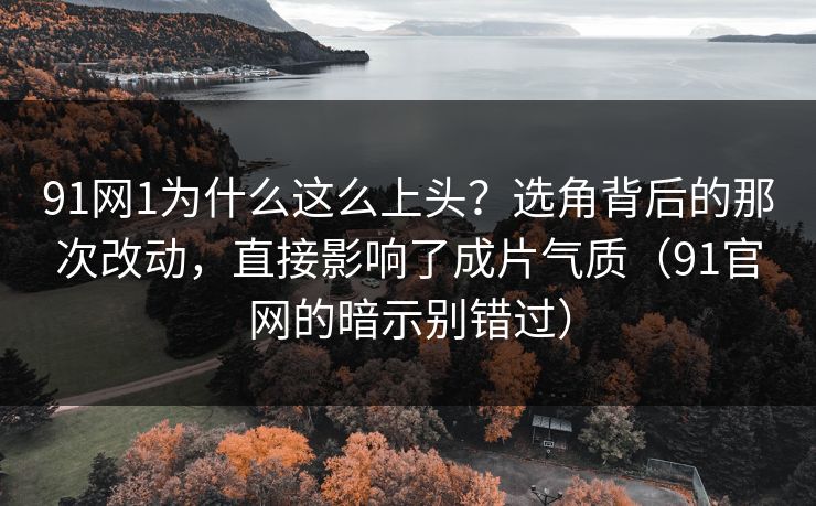 91网1为什么这么上头？选角背后的那次改动，直接影响了成片气质（91官网的暗示别错过）