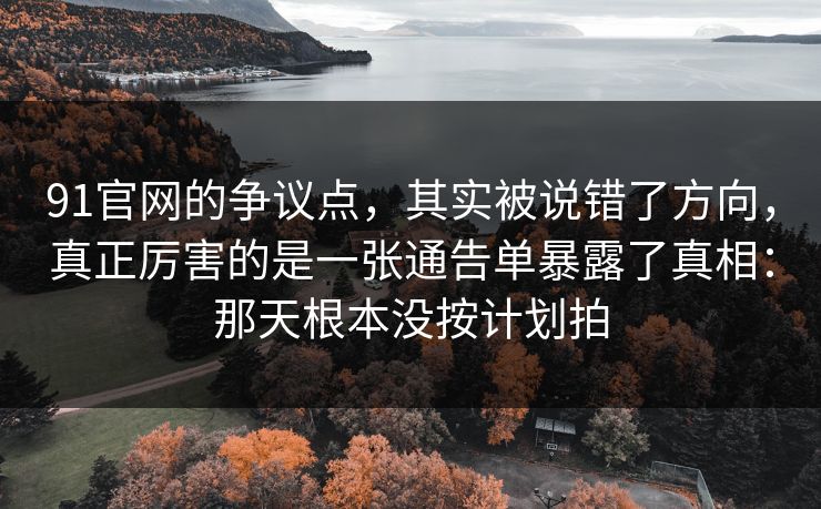 91官网的争议点，其实被说错了方向，真正厉害的是一张通告单暴露了真相：那天根本没按计划拍