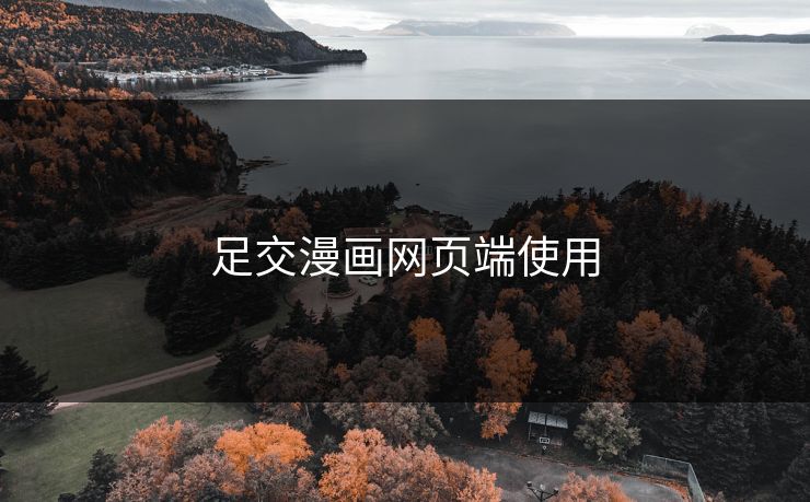足交漫画网页端使用