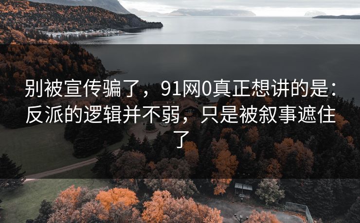 别被宣传骗了，91网0真正想讲的是：反派的逻辑并不弱，只是被叙事遮住了