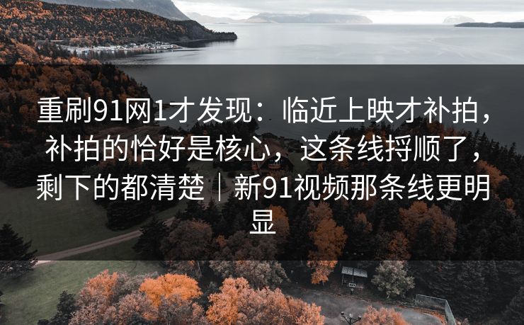 重刷91网1才发现：临近上映才补拍，补拍的恰好是核心，这条线捋顺了，剩下的都清楚｜新91视频那条线更明显