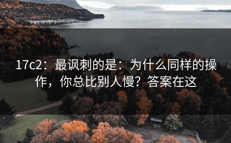 17c2：最讽刺的是：为什么同样的操作，你总比别人慢？答案在这