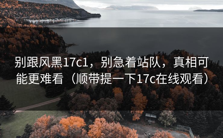 别跟风黑17c1，别急着站队，真相可能更难看（顺带提一下17c在线观看）